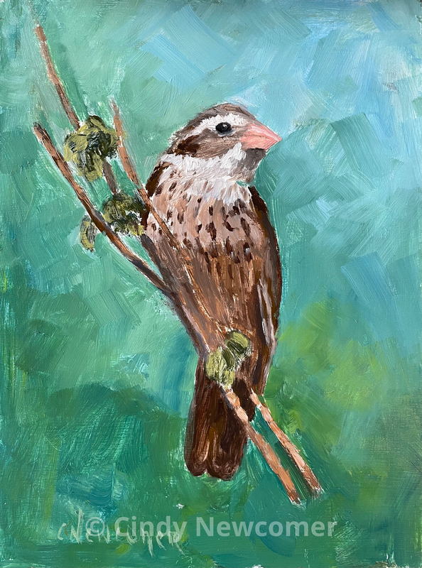 Oil Painting, Rose Breasted Grosbeak, bird art